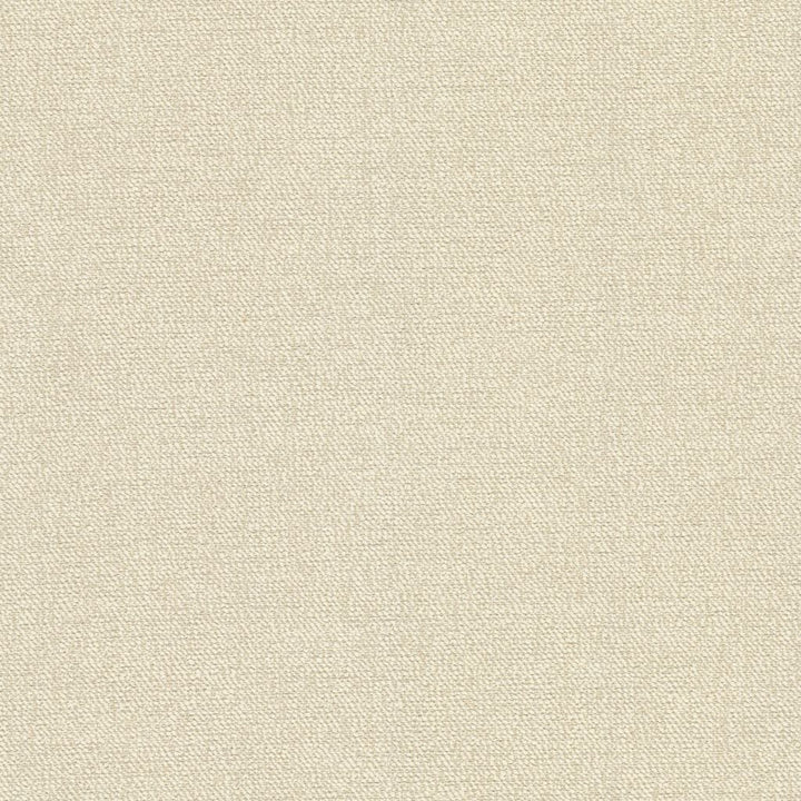 Sardinia Sand Dollar by RM CoCo Fabric Island Breeze II InsideOut Performance 100% UV Polyester See Sample 63000 Horizontal: 0.13 and Vertical: 0.13 56.25 - Fabric Carolina -