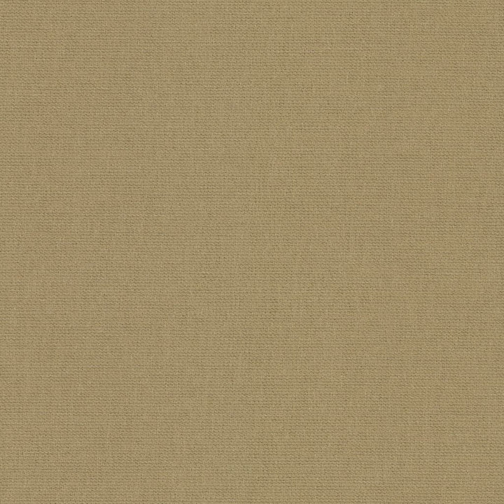 Sardinia Jute by RM CoCo Fabric Island Breeze II InsideOut Performance 100% UV Polyester See Sample 63000 Horizontal: 0.13 and Vertical: 0.13 56.25 - Fabric Carolina -