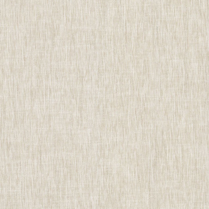 Bimini Sand Dollar by RM CoCo Fabric Island Breeze II InsideOut Performance 100% UV Polyester See Sample 63000 Horizontal: 0 and Vertical: 0 55 - Fabric Carolina -