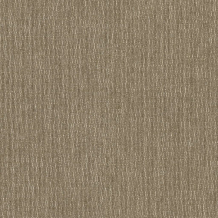 Bimini Sandstone by RM CoCo Fabric Island Breeze II InsideOut Performance 100% UV Polyester See Sample 63000 Horizontal: 0 and Vertical: 0 55 - Fabric Carolina -