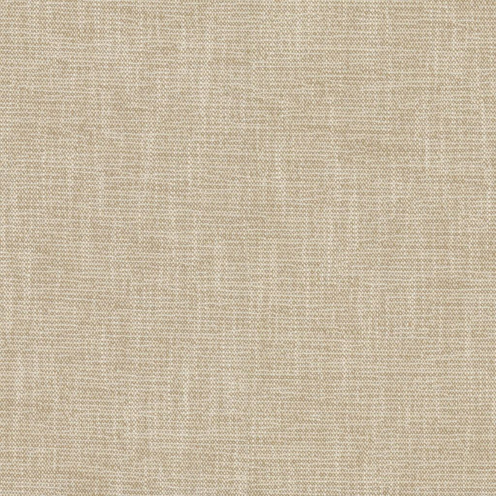 Capri Macadamia by RM CoCo Fabric Island Breeze II InsideOut Performance 96.26% Polyester UV 3.74% PCR Polyester UV See Sample 63000 Horizontal: 0.13 and Vertical: 0.13 55.25 - Fabric Carolina -