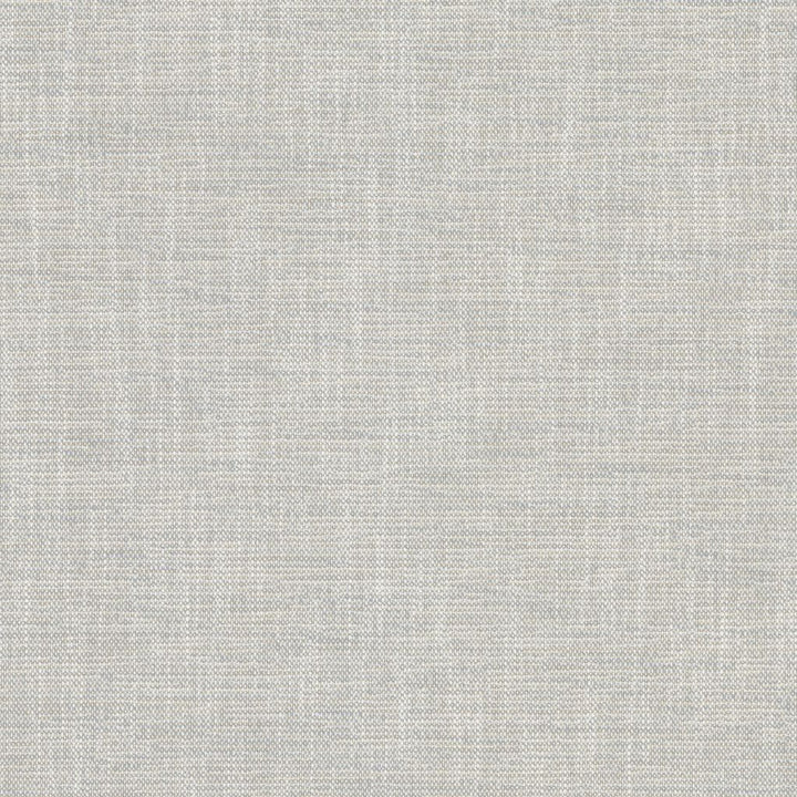 Capri Gull by RM CoCo Fabric Island Breeze II InsideOut Performance 96.26% Polyester UV 3.74% PCR Polyester UV See Sample 63000 Horizontal: 0.13 and Vertical: 0.13 55.25 - Fabric Carolina -