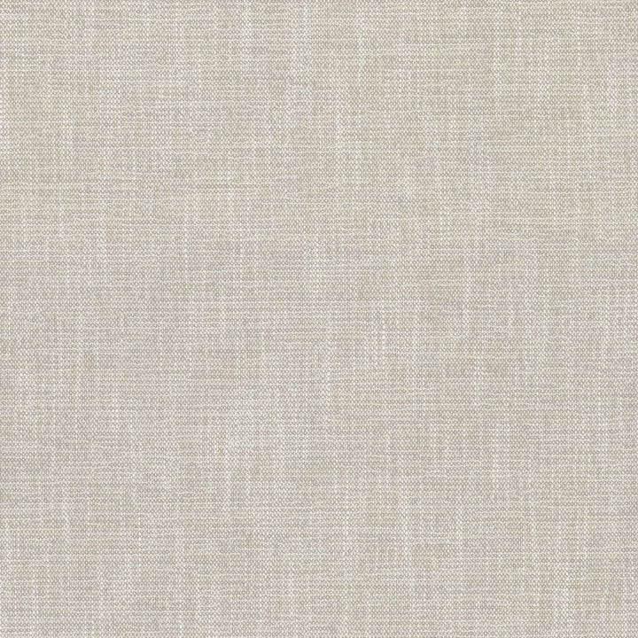 Capri Puka Shell by RM CoCo Fabric Island Breeze II InsideOut Performance 96.26% Polyester UV 3.74% PCR Polyester UV See Sample 63000 Horizontal: 0.13 and Vertical: 0.13 55.25 - Fabric Carolina -