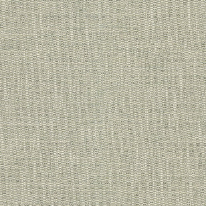 Capri Sea Glass by RM CoCo Fabric Island Breeze II InsideOut Performance 96.26% Polyester UV 3.74% PCR Polyester UV See Sample 63000 Horizontal: 0.13 and Vertical: 0.13 55.25 - Fabric Carolina -