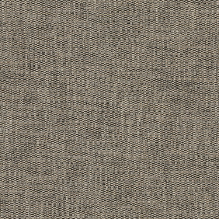 Capri Thatch by RM CoCo Fabric Island Breeze II InsideOut Performance 96.26% Polyester UV 3.74% PCR Polyester UV See Sample 63000 Horizontal: 0.13 and Vertical: 0.13 55.25 - Fabric Carolina -