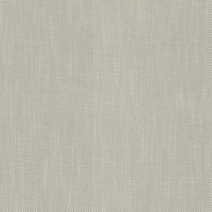 Dominica Gull by RM CoCo Fabric Island Breeze II InsideOut Performance 100% UV Polyester See Sample 51000 Horizontal: 0.19 and Vertical: 0.19 56 - Fabric Carolina -