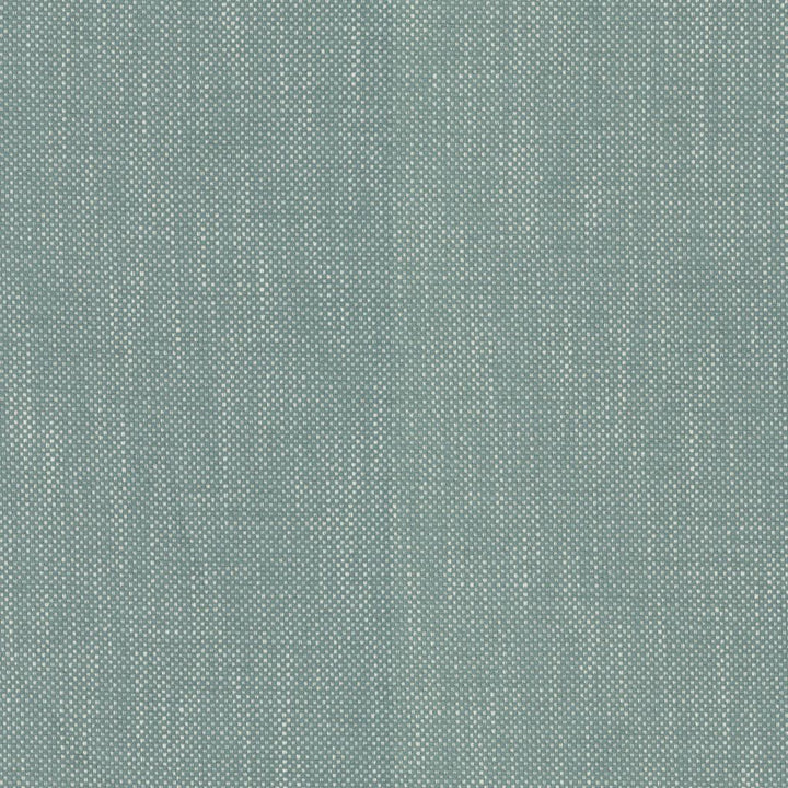 Dominica Grotto by RM CoCo Fabric Island Breeze II InsideOut Performance 100% UV Polyester See Sample 51000 Horizontal: 0.19 and Vertical: 0.19 56 - Fabric Carolina -