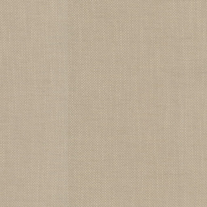 Dominica Macadamia by RM CoCo Fabric Island Breeze II InsideOut Performance 100% UV Polyester See Sample 51000 Horizontal: 0.19 and Vertical: 0.19 56 - Fabric Carolina -