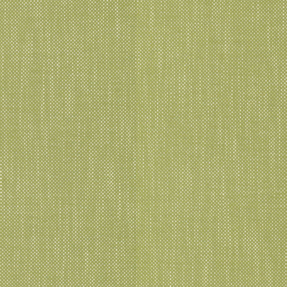 Dominica Kiwi by RM CoCo Fabric Island Breeze II InsideOut Performance 100% UV Polyester See Sample 51000 Horizontal: 0.19 and Vertical: 0.19 56 - Fabric Carolina -