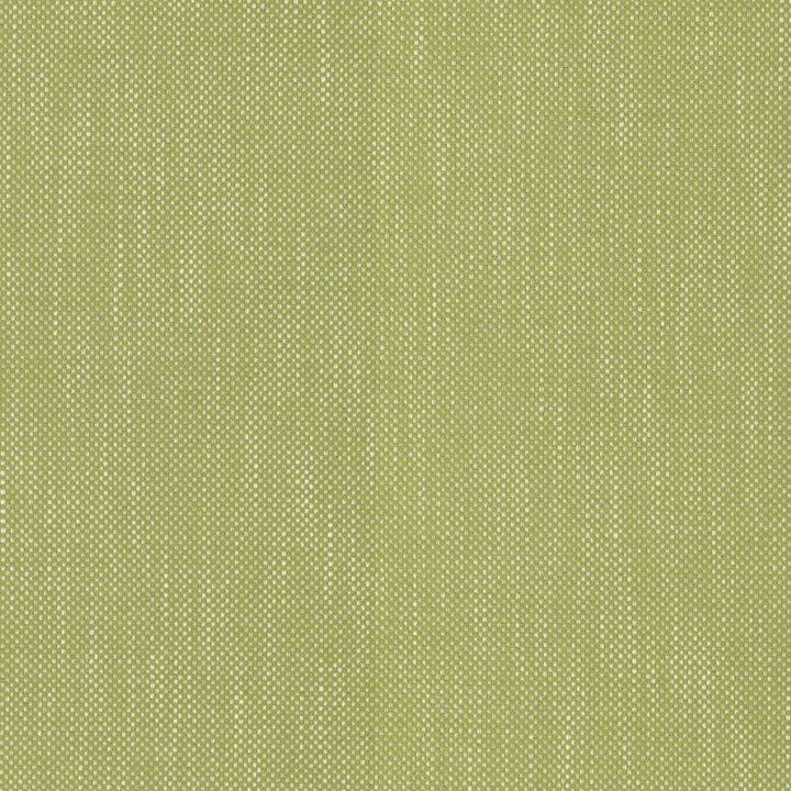 Dominica Kiwi by RM CoCo Fabric Island Breeze II InsideOut Performance 100% UV Polyester See Sample 51000 Horizontal: 0.19 and Vertical: 0.19 56 - Fabric Carolina -