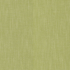 Dominica Kiwi by RM CoCo Fabric