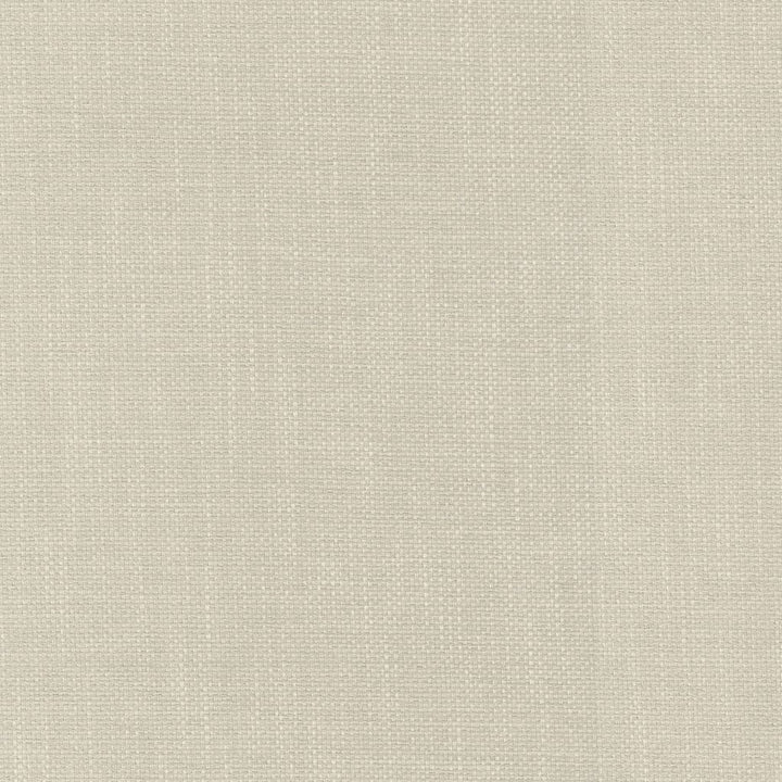Dominica Sea Salt by RM CoCo Fabric Island Breeze II InsideOut Performance 100% UV Polyester See Sample 51000 Horizontal: 0.19 and Vertical: 0.19 56 - Fabric Carolina -