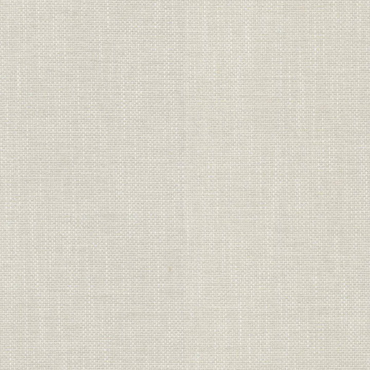 Dominica Puka Shell by RM CoCo Fabric Island Breeze II InsideOut Performance 100% UV Polyester See Sample 51000 Horizontal: 0.19 and Vertical: 0.19 56 - Fabric Carolina -