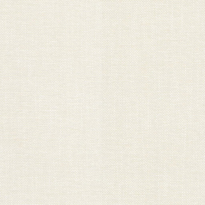 Dominica White Cap by RM CoCo Fabric Island Breeze II InsideOut Performance 100% UV Polyester See Sample 51000 Horizontal: 0.19 and Vertical: 0.19 56 - Fabric Carolina -