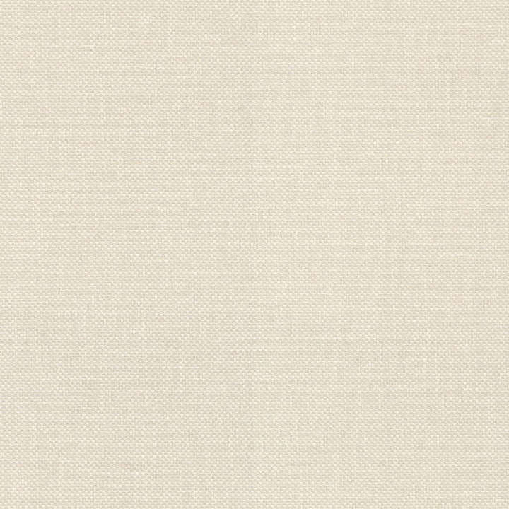 Dominica Sand Dollar by RM CoCo Fabric Island Breeze II InsideOut Performance 100% UV Polyester See Sample 51000 Horizontal: 0.19 and Vertical: 0.19 56 - Fabric Carolina -