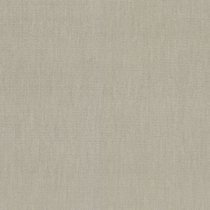 Soleil Performance Velvet Thatch by RM CoCo Fabric Soleil Performance Velvet 100% Solution Dyed Acrylic See Sample 100000 Horizontal: 0 and Vertical: 0 56 - Fabric Carolina -