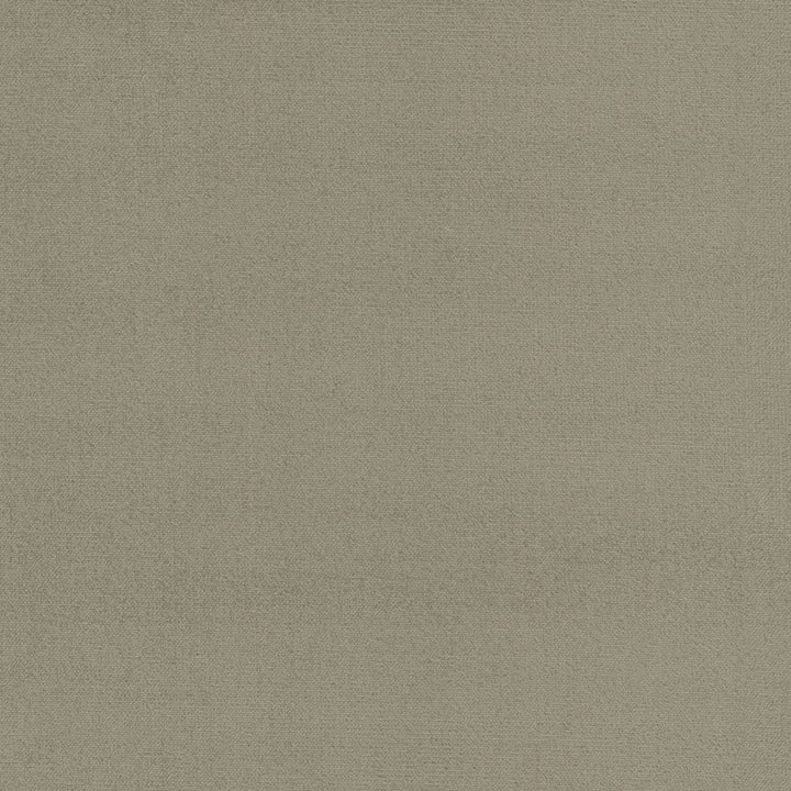 Soleil Performance Velvet Driftwood by RM CoCo Fabric Soleil Performance Velvet 100% Solution Dyed Acrylic See Sample 100000 Horizontal: 0 and Vertical: 0 56 - Fabric Carolina -