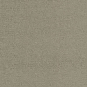 Soleil Performance Velvet Driftwood by RM CoCo Fabric