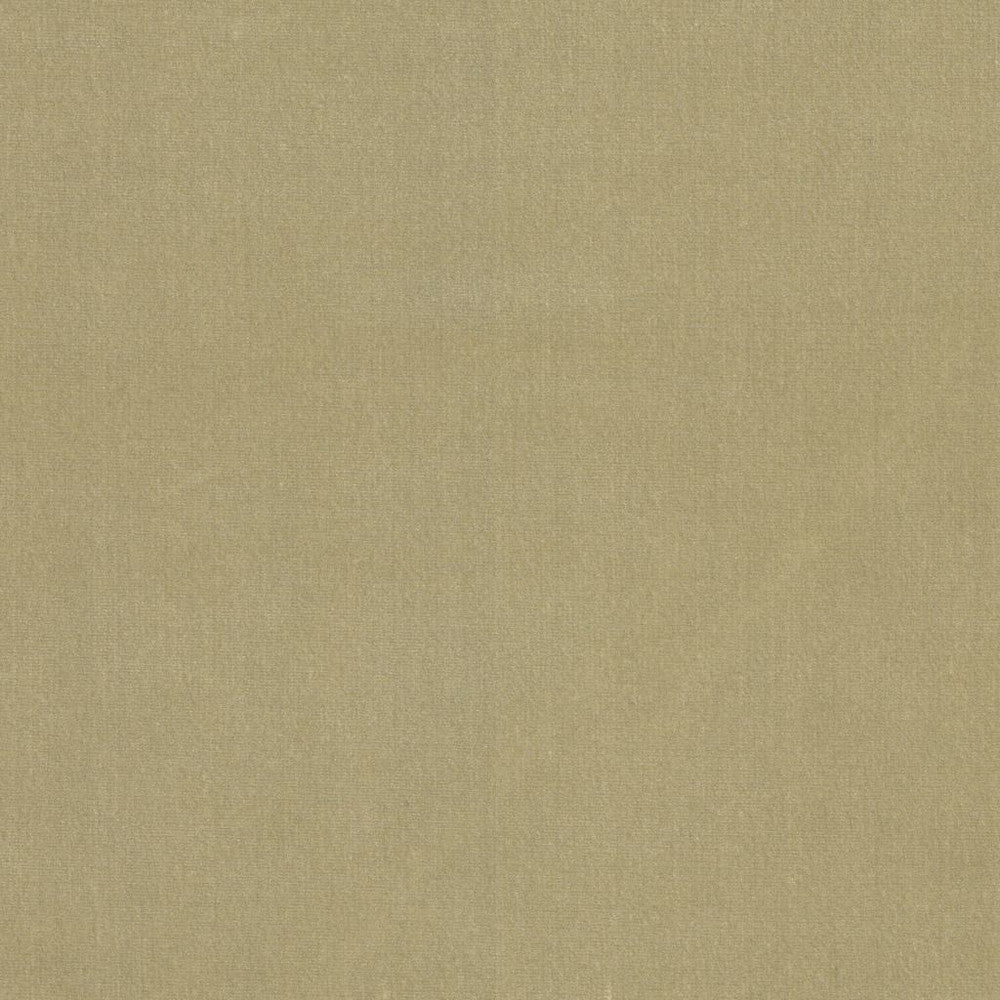 Soleil Performance Velvet Sand Dune by RM CoCo Fabric Soleil Performance Velvet 100% Solution Dyed Acrylic See Sample 100000 Horizontal: 0 and Vertical: 0 56 - Fabric Carolina -