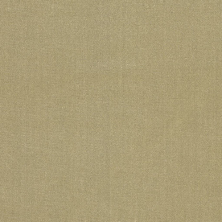 Soleil Performance Velvet Sand Dune by RM CoCo Fabric Soleil Performance Velvet 100% Solution Dyed Acrylic See Sample 100000 Horizontal: 0 and Vertical: 0 56 - Fabric Carolina -