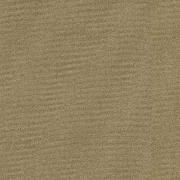Soleil Performance Velvet Outrigger by RM CoCo Fabric Soleil Performance Velvet 100% Solution Dyed Acrylic See Sample 100000 Horizontal: 0 and Vertical: 0 56 - Fabric Carolina -