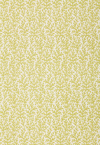 Sea Coral Chartreuse 174462 by Schumacher Fabric