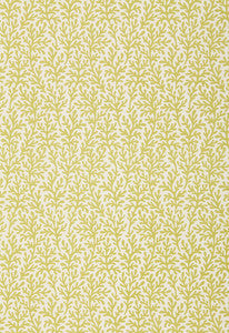 Sea Coral Chartreuse 174462 by Schumacher Fabric