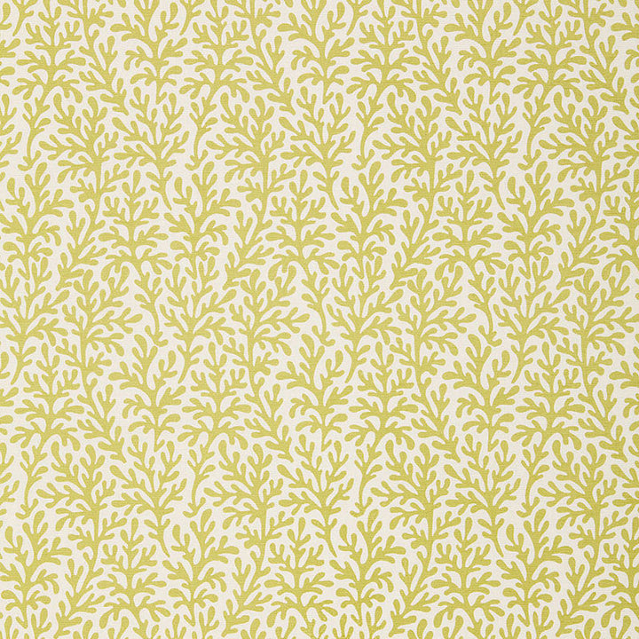 Sea Coral Chartreuse 174462 by Schumacher Fabric Schumacher Fabric Sea Coral Chartreuse 174462Fabric COTTON 100% INDIA </p><p>Repeat: H: HORZ. 3 7/8" (10CM) , V: VERT. 8" (20CM) 54 - Fabric Carolina -