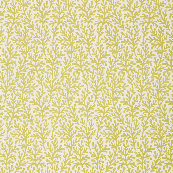 Sea Coral Chartreuse 174462 by Schumacher Fabric TESSERA I SMALL PATTERNS See Sample INDIA MEDIUM DUTY </p><p>Repeat: Horizontal: 3 7/8" (10CM) and Vertical: 8" (20CM) 54" WIDE (137CM) - Fabric Carolina -