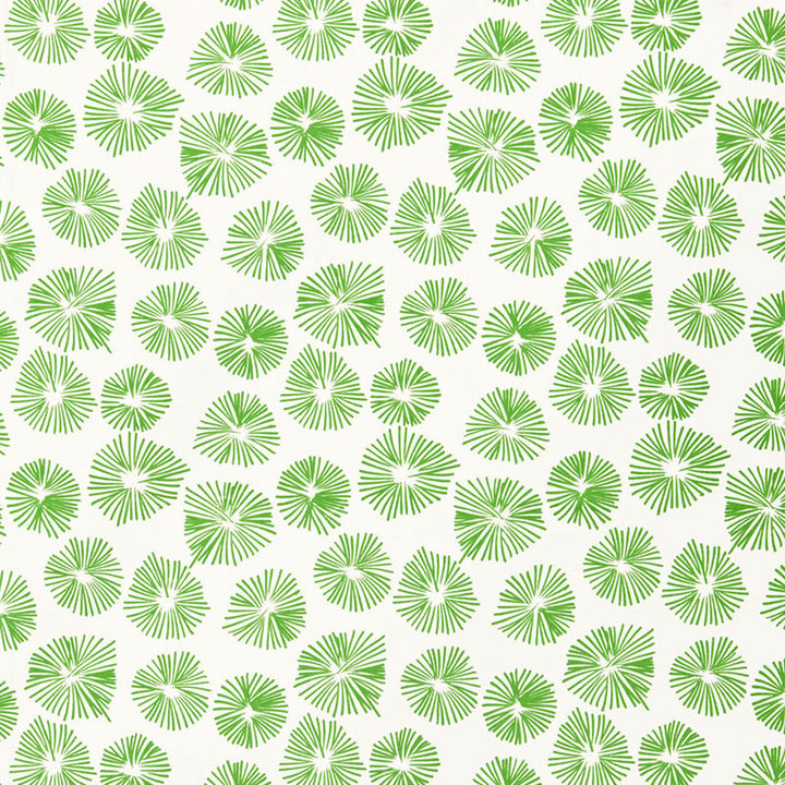 Firecrackers Grass 174933 by Schumacher Fabric LULU DK | CHILD See Sample PAKISTAN MEDIUM DUTY </p><p>Repeat: Horizontal: 9" (23CM) and Vertical: 12 5/8" (32CM) 54" WIDE (137CM) - Fabric Carolina -