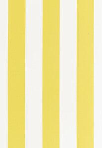Geyer Stripe Sunshine 175240 by Schumacher Fabric
