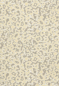 Rain Dance Stone 175391 by Schumacher Fabric