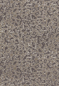 Rain Dance Charcoal 175392 by Schumacher Fabric