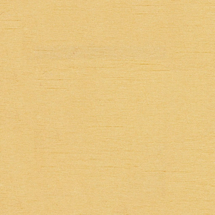 Keepsakes Oat by RM CoCo Fabric Keepsakes V 100% Polyester See Sample 0 Horizontal: 0 and Vertical: 0 54 - Fabric Carolina -