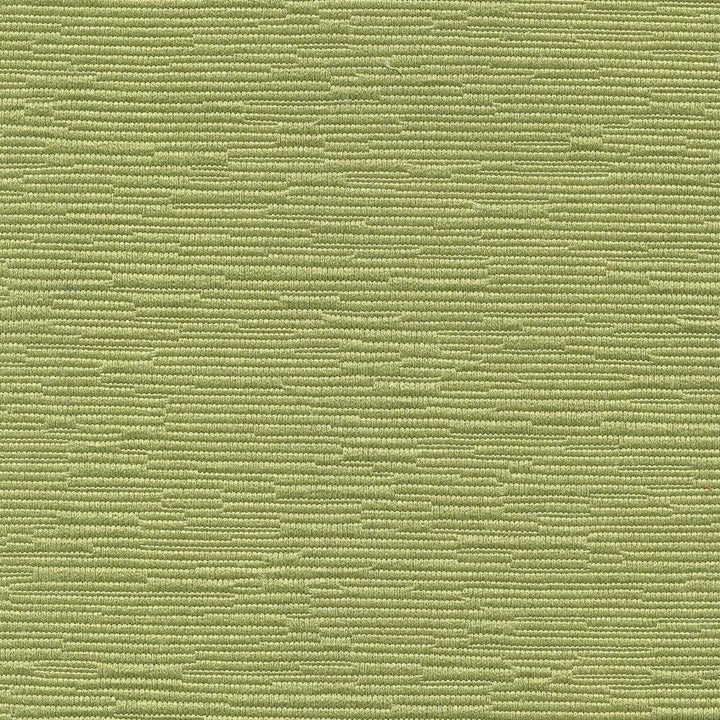 Haven Kiwi by RM CoCo Fabric Weekend Retreat Collection 52% Cotton 48% Polyester See Sample 75000 Horizontal: 0 and Vertical: 0 54 - Fabric Carolina -