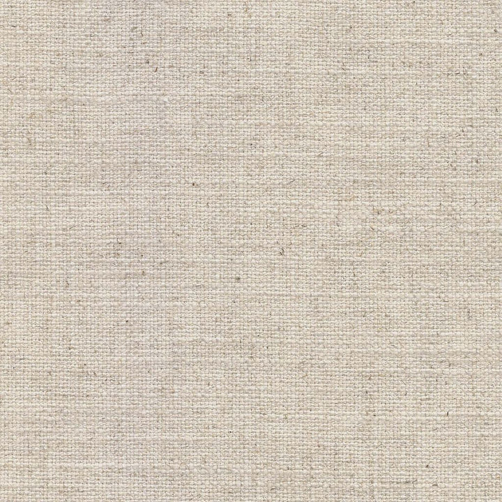 Hideaway Froth by RM CoCo Fabric Weekend Retreat Collection 36% Cotton 30% Polyester 17% Viscose 17% Linen See Sample 180000 Horizontal: 0 and Vertical: 0 54 - Fabric Carolina -