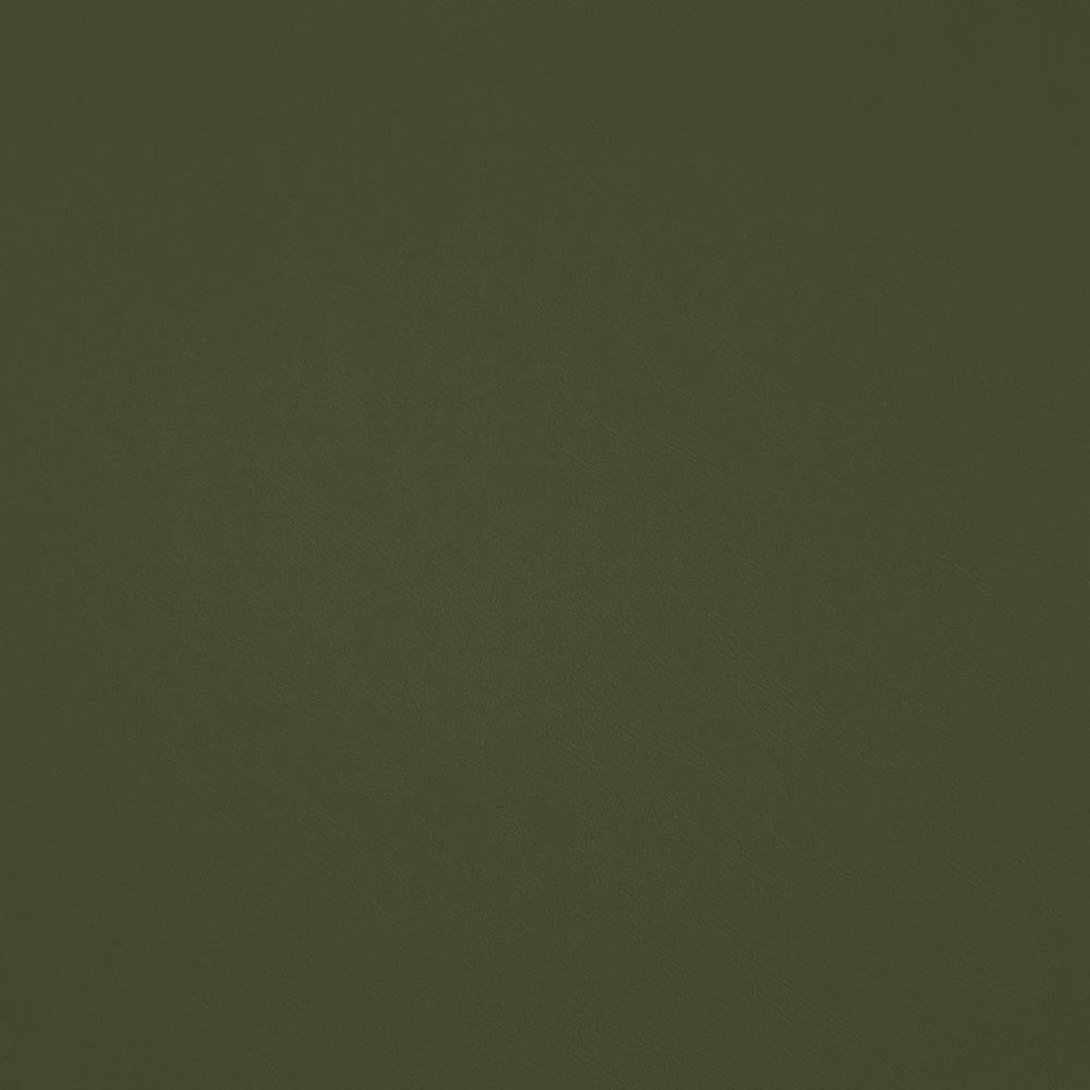 Chaparral Performance FR Faux-Leather Basil by RM CoCo Fabric Chaparral Performance FR Faux Leather 100% PVC (Phthalate free/heavy metals free) See Sample 100000 Horizontal: 0 and Vertical: 0 55 - Fabric Carolina -