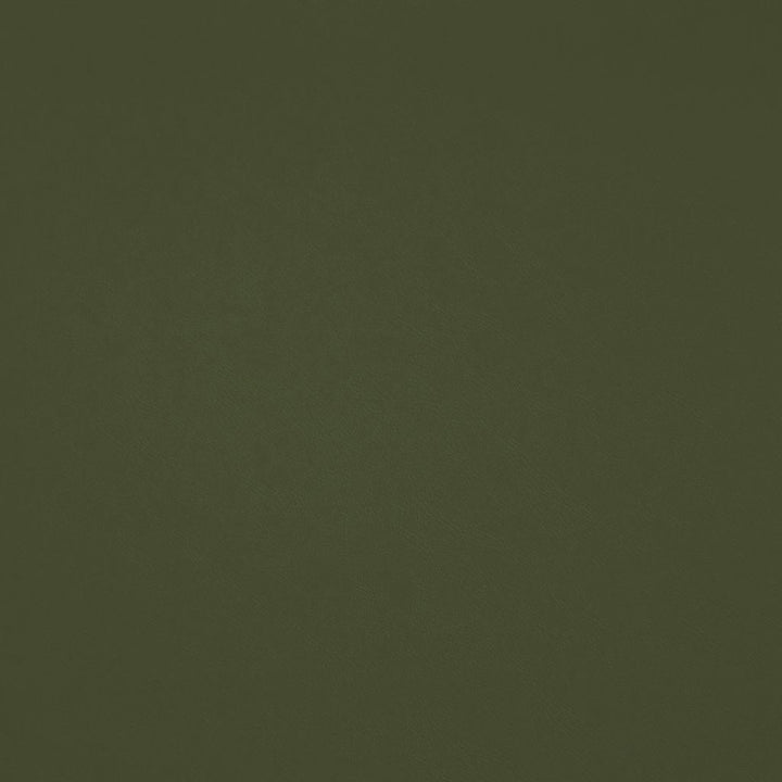 Chaparral Performance FR Faux-Leather Basil by RM CoCo Fabric Chaparral Performance FR Faux Leather 100% PVC (Phthalate free/heavy metals free) See Sample 100000 Horizontal: 0 and Vertical: 0 55 - Fabric Carolina -