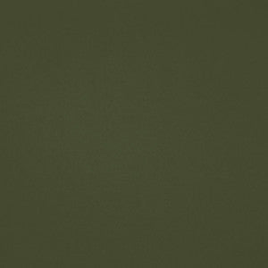 Chaparral Performance FR Faux-Leather Basil by RM CoCo Fabric