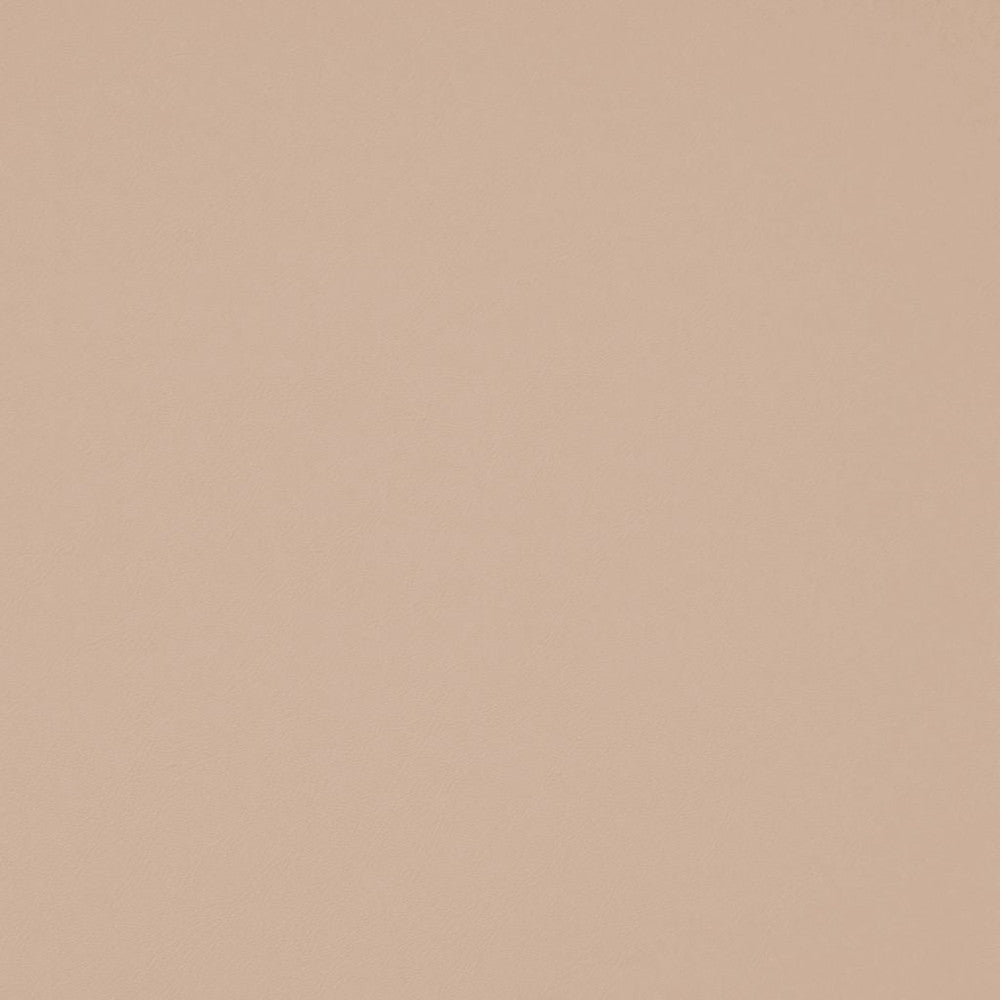 Chaparral Performance FR Faux-Leather Vapor by RM CoCo Fabric Chaparral Performance FR Faux Leather 100% PVC (Phthalate free/heavy metals free) See Sample 100000 Horizontal: 0 and Vertical: 0 55 - Fabric Carolina -