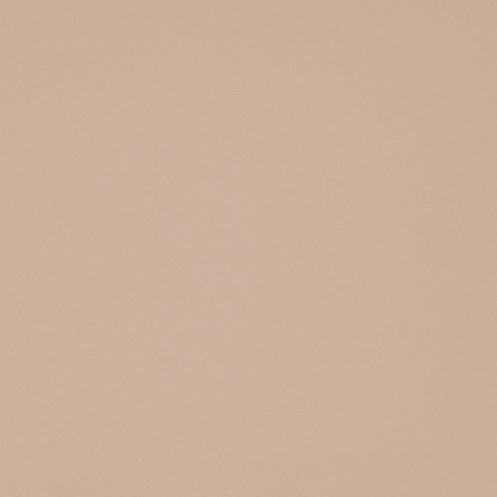 Chaparral Performance FR Faux-Leather Vapor by RM CoCo Fabric Chaparral Performance FR Faux Leather 100% PVC (Phthalate free/heavy metals free) See Sample 100000 Horizontal: 0 and Vertical: 0 55 - Fabric Carolina -