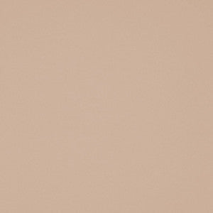 Chaparral Performance FR Faux-Leather Vapor by RM CoCo Fabric