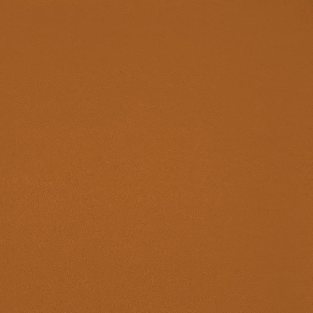 Chaparral Performance FR Faux-Leather Butterscotch by RM CoCo Fabric Chaparral Performance FR Faux Leather 100% PVC (Phthalate free/heavy metals free) See Sample 100000 Horizontal: 0 and Vertical: 0 55 - Fabric Carolina -