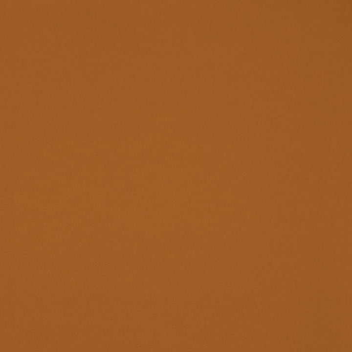 Chaparral Performance FR Faux-Leather Butterscotch by RM CoCo Fabric Chaparral Performance FR Faux Leather 100% PVC (Phthalate free/heavy metals free) See Sample 100000 Horizontal: 0 and Vertical: 0 55 - Fabric Carolina -
