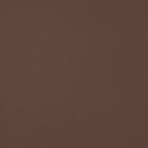 Chaparral Performance FR Faux-Leather Truffle by RM CoCo Fabric