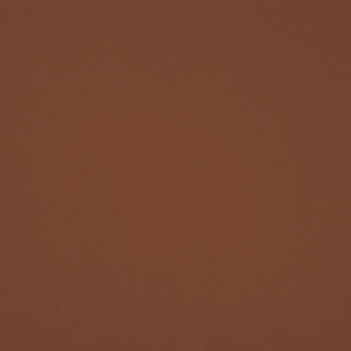 Chaparral Performance FR Faux-Leather Redwood by RM CoCo Fabric Chaparral Performance FR Faux Leather 100% PVC (Phthalate free/heavy metals free) See Sample 100000 Horizontal: 0 and Vertical: 0 55 - Fabric Carolina -