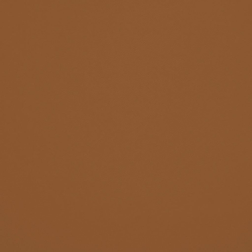 Chaparral Performance FR Faux-Leather Mushroom by RM CoCo Fabric Chaparral Performance FR Faux Leather 100% PVC (Phthalate free/heavy metals free) See Sample 100000 Horizontal: 0 and Vertical: 0 55 - Fabric Carolina -
