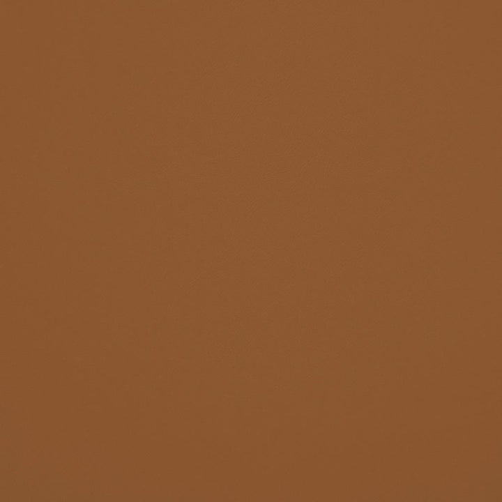Chaparral Performance FR Faux-Leather Mushroom by RM CoCo Fabric Chaparral Performance FR Faux Leather 100% PVC (Phthalate free/heavy metals free) See Sample 100000 Horizontal: 0 and Vertical: 0 55 - Fabric Carolina -