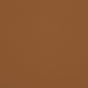 Chaparral Performance FR Faux-Leather Mushroom by RM CoCo Fabric