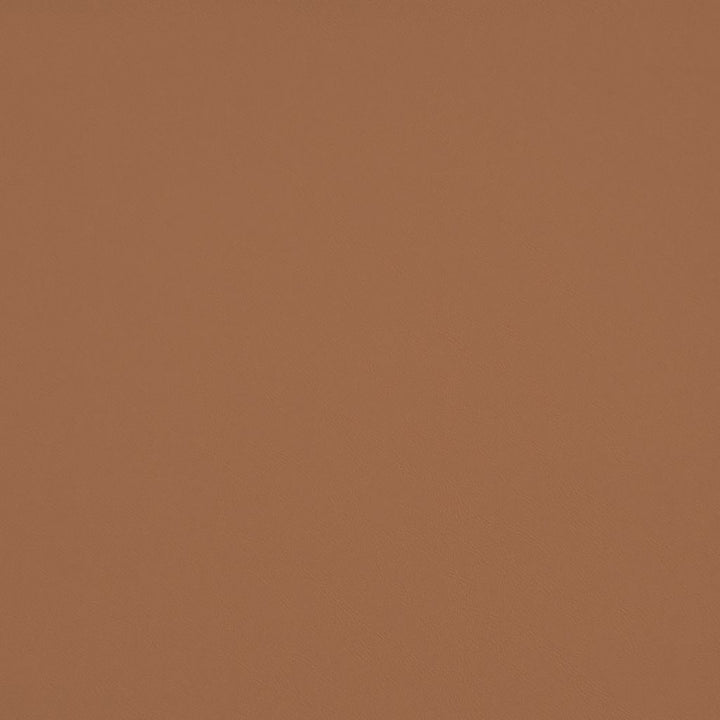 Chaparral Performance FR Faux-Leather Fawn by RM CoCo Fabric Chaparral Performance FR Faux Leather 100% PVC (Phthalate free/heavy metals free) See Sample 100000 Horizontal: 0 and Vertical: 0 55 - Fabric Carolina -